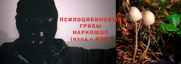 крисы Аркадак