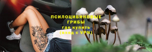 прущая мука Богданович