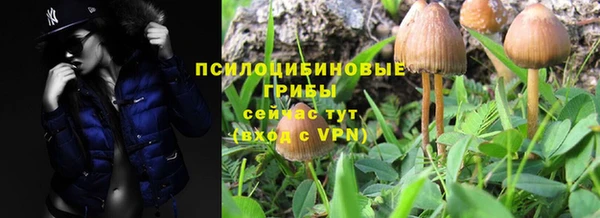 крисы Аркадак