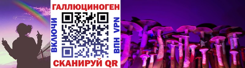 Псилоцибиновые грибы Cubensis  Свирск 